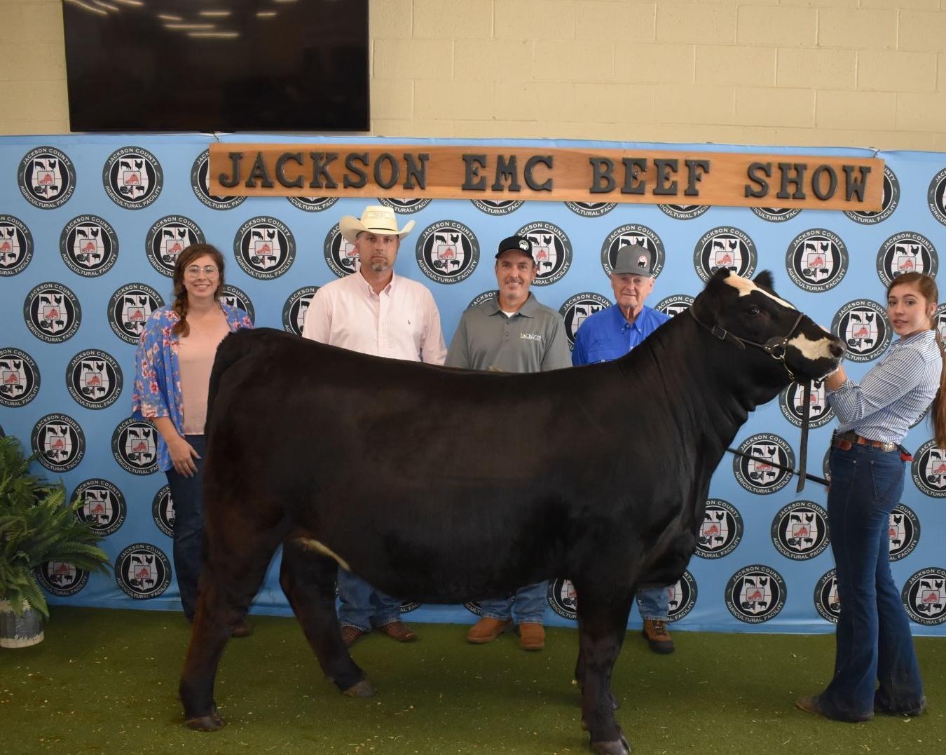 Shows Supreme Champion Heifer